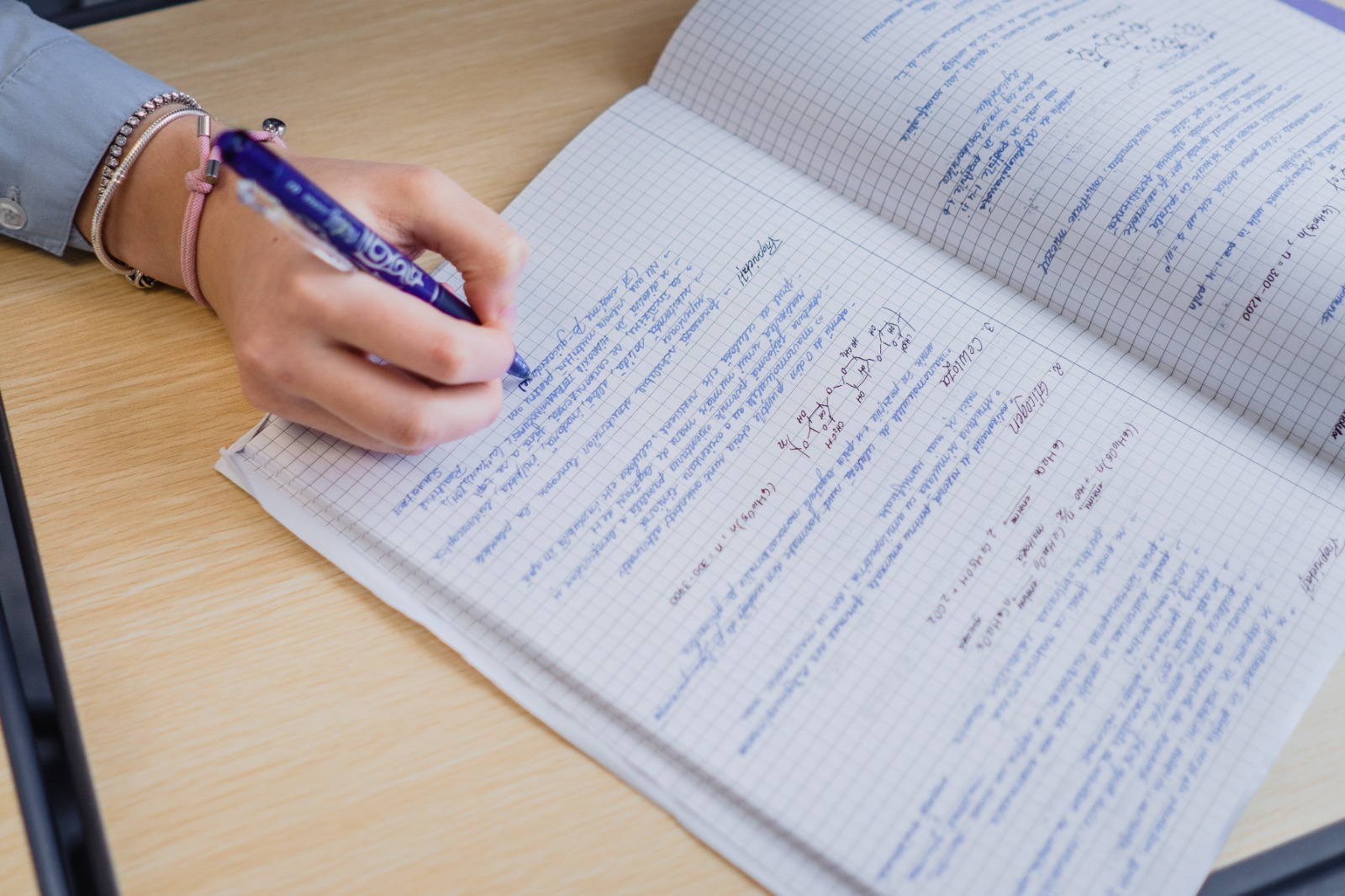 Curriculum SEB