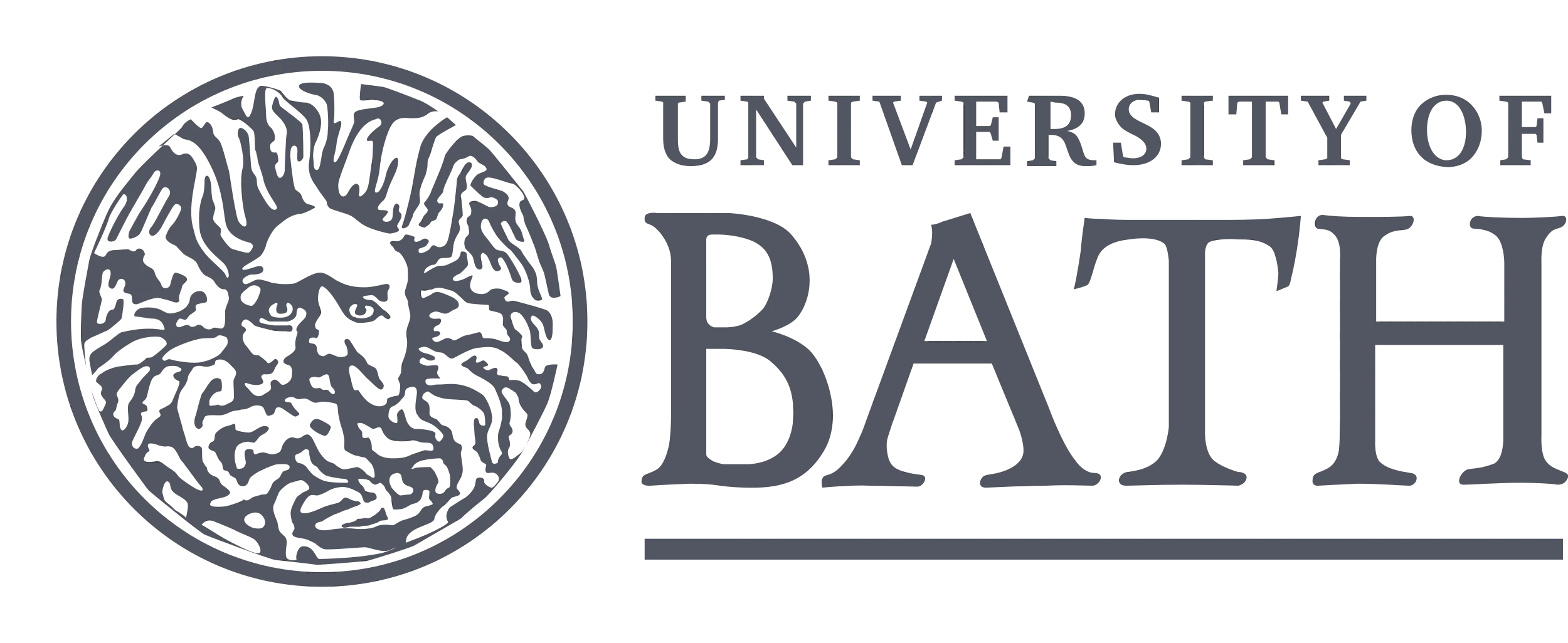 University of Bath